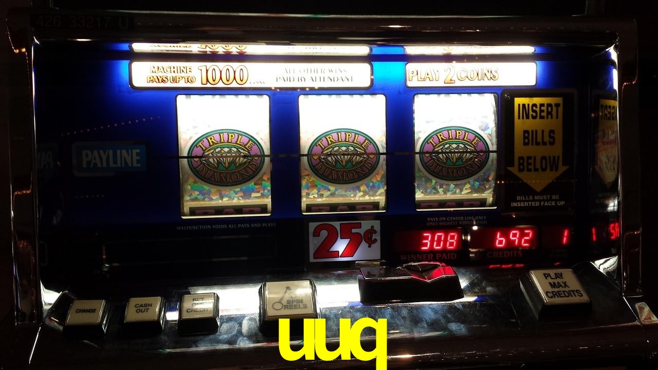 Experiência VIP uuq